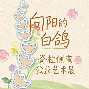 向阳的白鸽