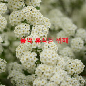 황혼의 빛에 대한 인식