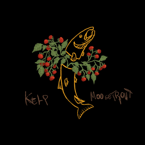 Kelp