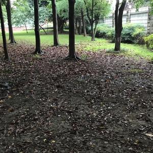 原来我最不爱的就是我自己(prod by NIHCONNOR)