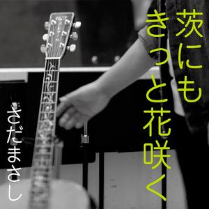 茨にもきっと花咲く