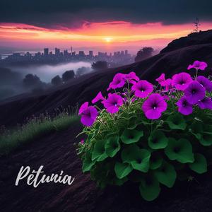 Pétunia