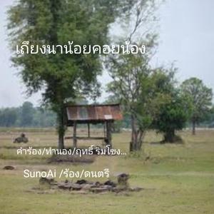 เถียงนาน้อยคอยน้อง