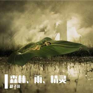森林、雨、精灵
