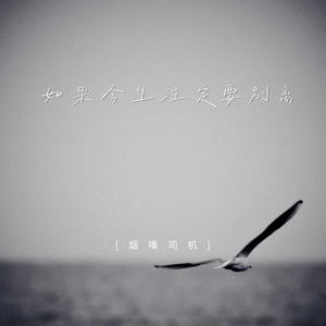 如果今生注定要别离