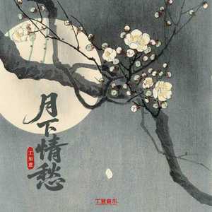 月下情愁（DJ弹鼓降速版）
