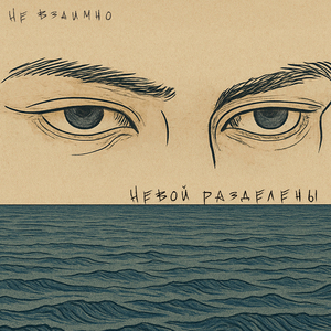 Невой разделены