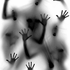 风吹树响是生命的歌