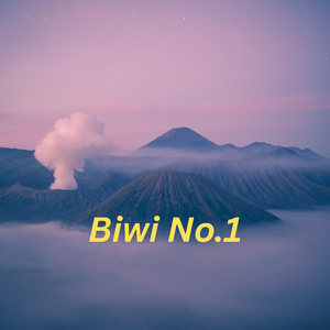 Biwi No.1