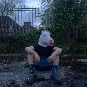 Egoistic Trojan Horse