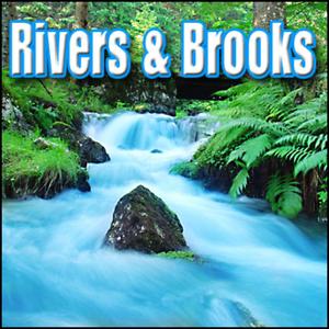 Water, Stream - Babbling Brook: Light Splashy Flow, Bubbles, Drips & Splashes, Rivers, Streams & Brooks