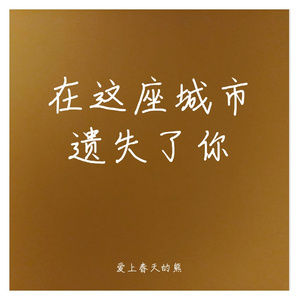 在这座城市遗失了你