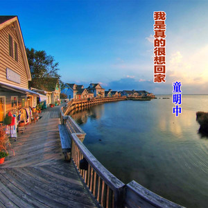 我是真的很想回家