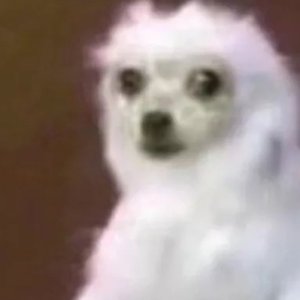 广寒宫(原唱：丸子呦）