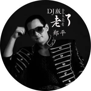 老了 (DJ版)