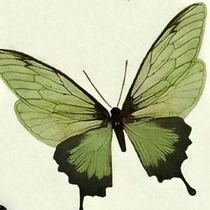 燕子(prod.by Morrow)