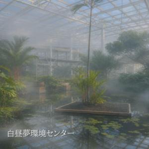 白昼夢環境センター