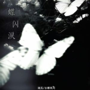 蝶闪泪