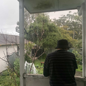 Japanese Honeysuckle