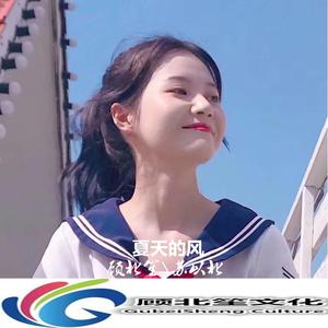 温岚-夏天的风（DJ版）（顾北笙 / 苏以北 remix）