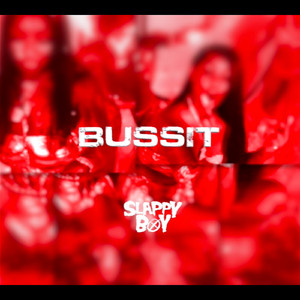 Bussit
