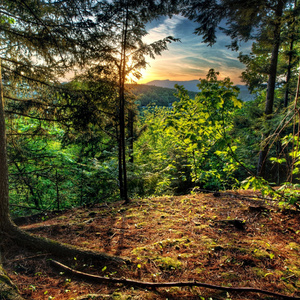 这个冬天不太冷