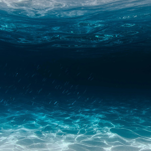 New Perfume (Radio Edit)