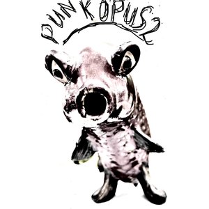 Punk Opus 2