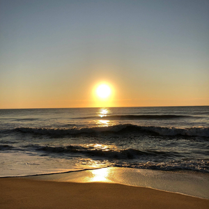 Settle (feat. Alpha Rellix)