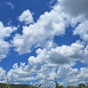 Não Tive Pas Sem Teu Amor