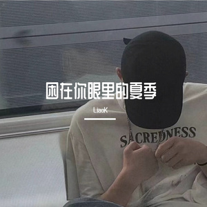 困在你眼里的夏季