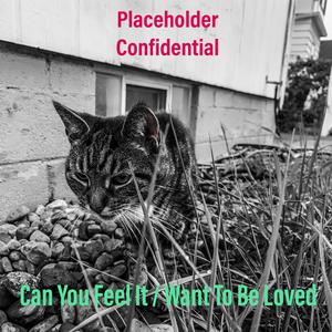 Can You Feel It? / Want To Be Loved