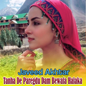 Za Di Pa Tamea Da Dedne Raghle Uma