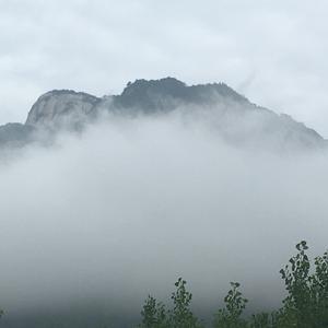 你不来我不老（竹笛）（Cover 高安）