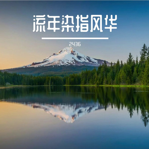 灯火踏街暖寒夜