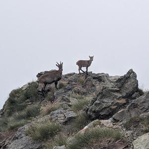 NICHT, WAS DU HÖRST.mp3