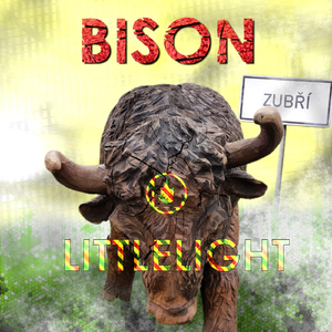 Bison