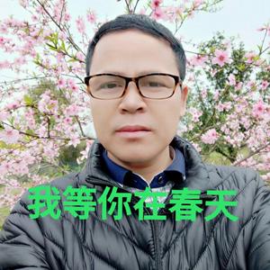 我等你在春天（翻自 一只舟）