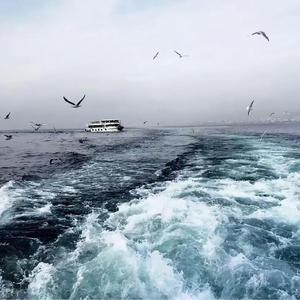 伯虎说（基米说停顿环绕版）