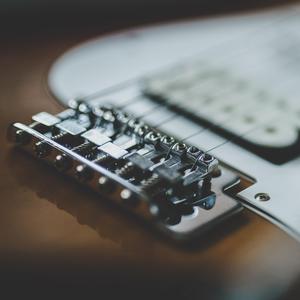 Tình như lá bay xa