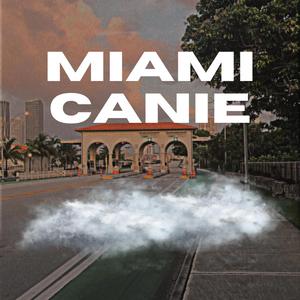 MIAMI CANIE