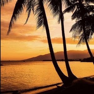 Bottle Our Last Paradise (Remix)