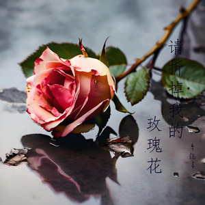请折掉我的玫瑰花