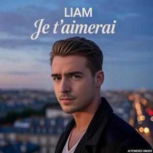 Je t'aimerai