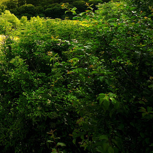 悟已往之不谏，知来者之可追