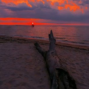 真的不快乐（翻自 李飘飘）