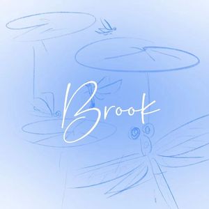 Brook