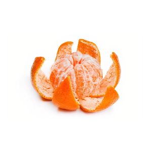 他在乎（Cover：Spylent）