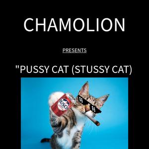 Pussy Catn (Stussy Cat) (Single Version)