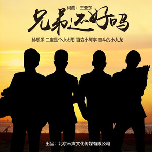 兄弟还好吗 (DJ版)